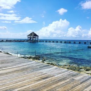 Meet your Posher, Imani